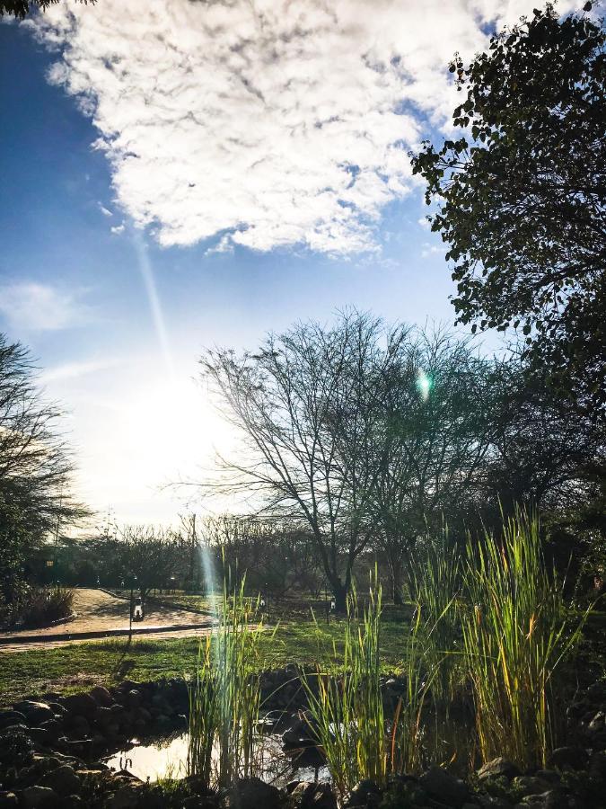 Olerai Lodge Arusha Luaran gambar